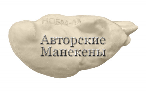 Манекен неясыть обыкновенная (самец) НОБМ-4 А